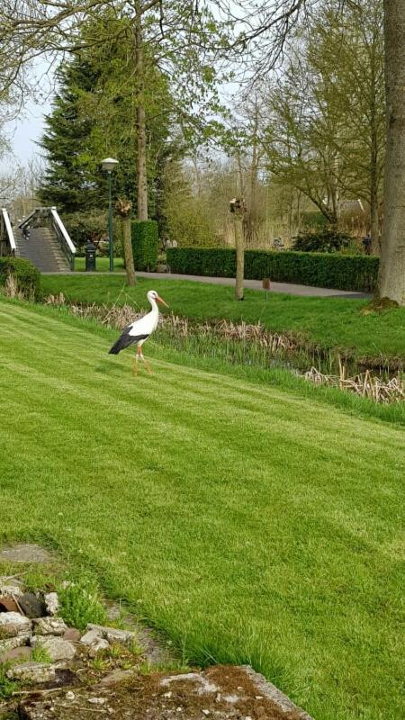 Farmhouse Lodge Giethoorn Eksteriør bilde